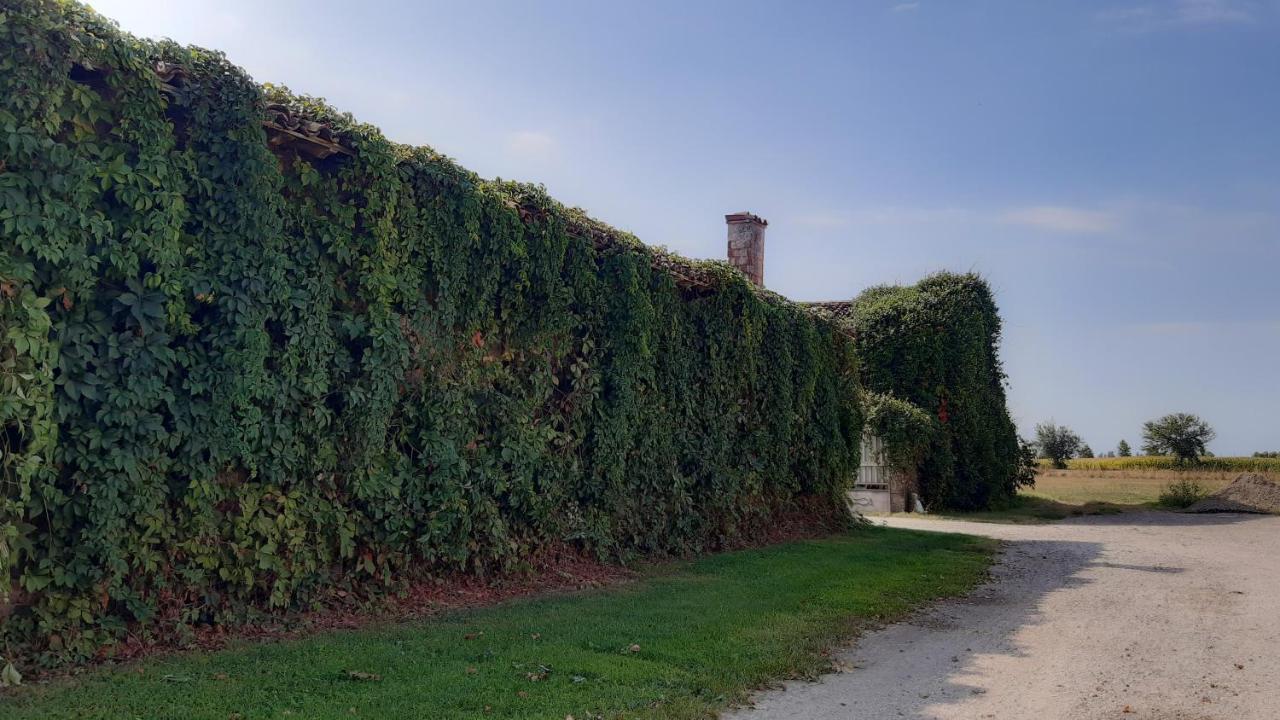 B&B Santa Cristina Montichiari Bagian luar foto
